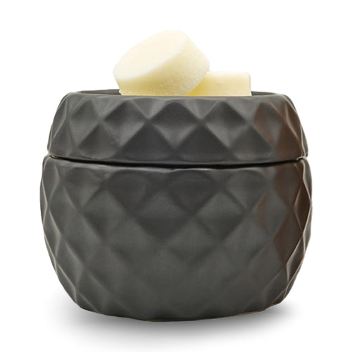 Electric Warmer for Wax Melts